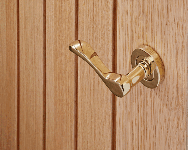 Ironmongery Ariel Polished Brass Tone Handle Hardware Pack - Image 2